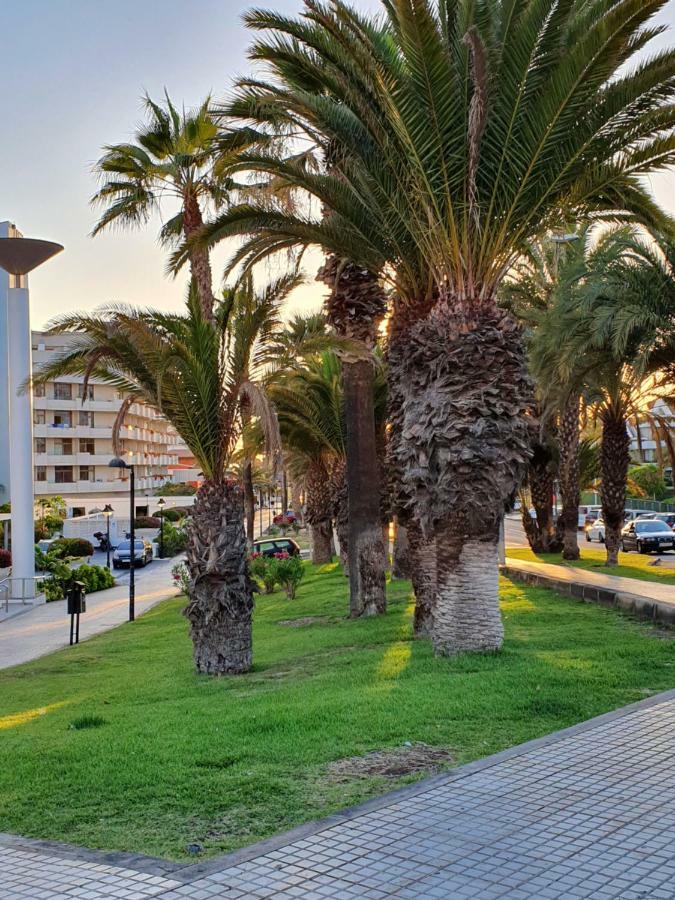 Spectacular Renovated Apartment, 5 Min To Camison Beach, With Aircon Arona  Exterior photo
